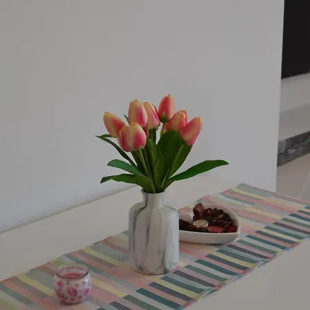 Korina Apartment Crikvenica